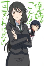 Infinite Stratos Doujinshi- My Older Sister Can't Be This Overprotective